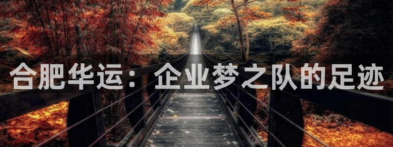 摩根娱乐宝总部招商