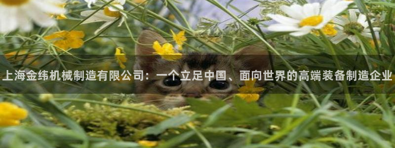 福建泉州白宫摩根会娱乐