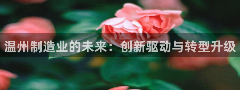 下载摩根娱乐宝