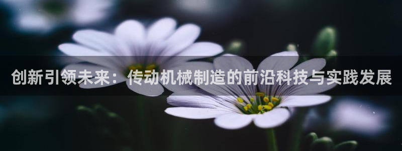 摩根娱乐身生个女孩吧
