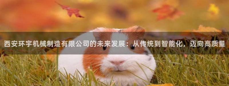 摩根娱乐宝招商