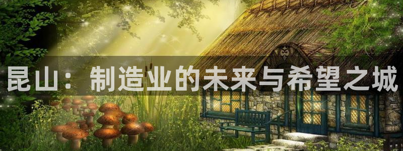 摩根国际娱乐宝