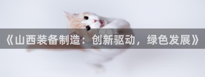 摩根娱乐挂机项目有哪些