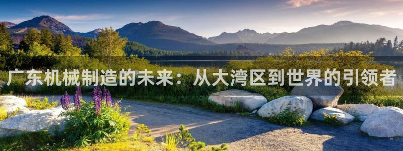 摩根娱乐包是什么