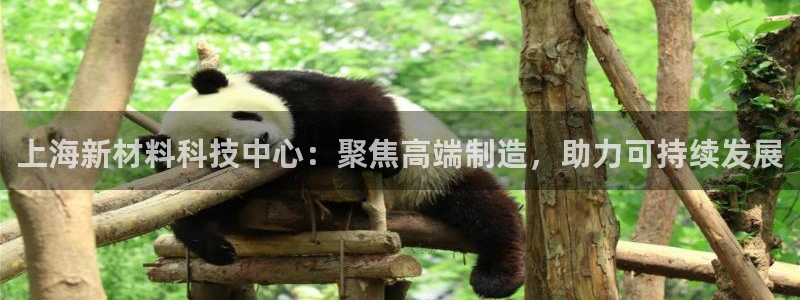 奥飞娱乐摩根调研