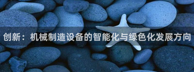 摩根娱乐创始人