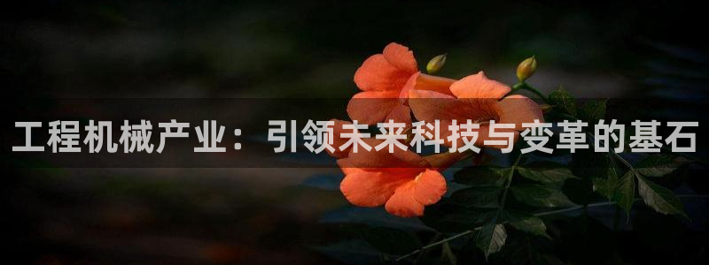 摩根中央公园娱乐