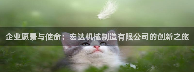 摩根娱乐宝是什么游戏