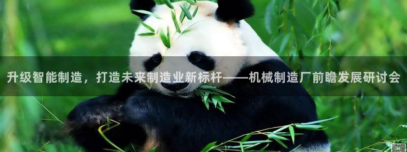 摩根娱乐50186叩