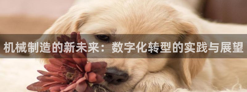 摩根娱乐宝杀单吗