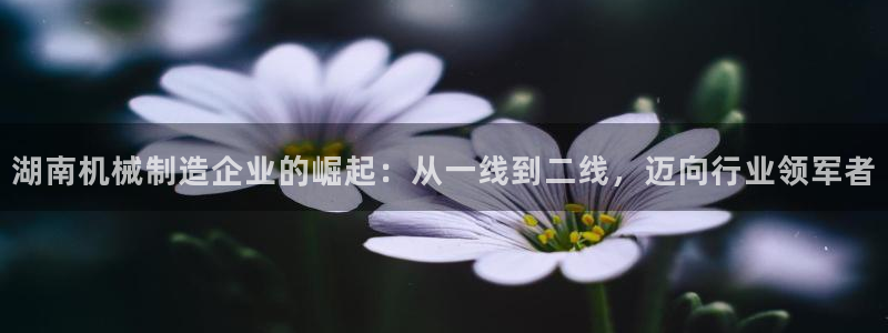 摩根娱乐宝怎么样
