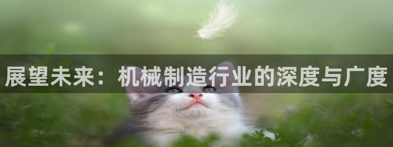 摩根娱乐官网下载