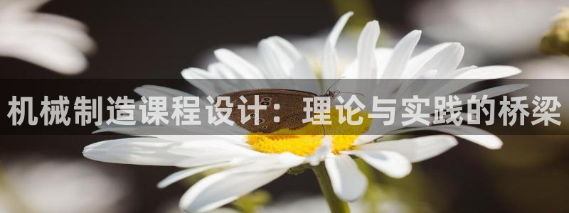 摩根娱乐宝是骗局吗