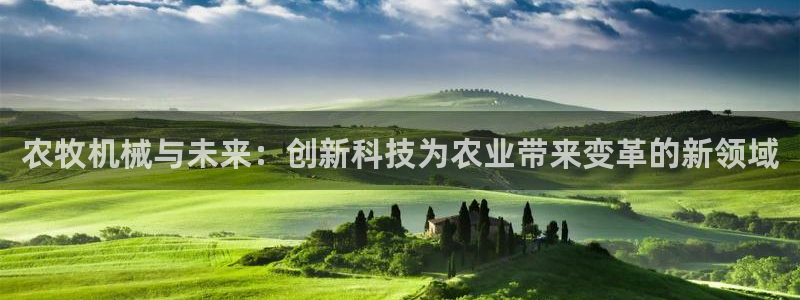 摩根娱乐宝创始人