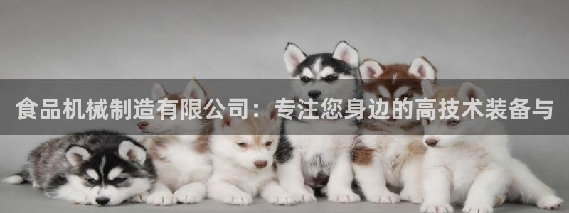 摩根娱乐50186联系