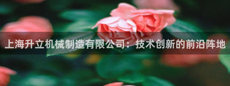摩根娱乐宝平台下载
