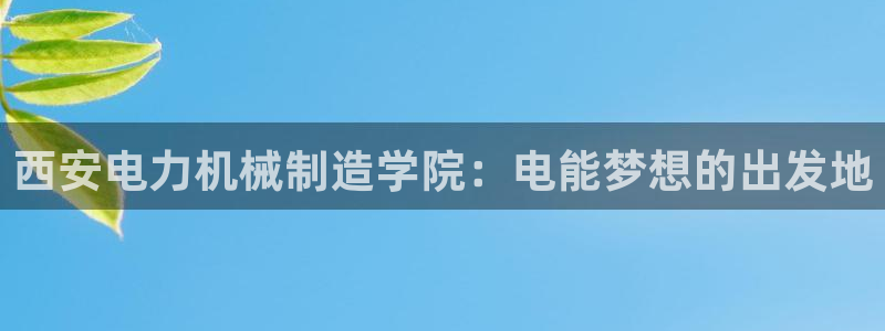 摩根娱乐宝怎么赚钱