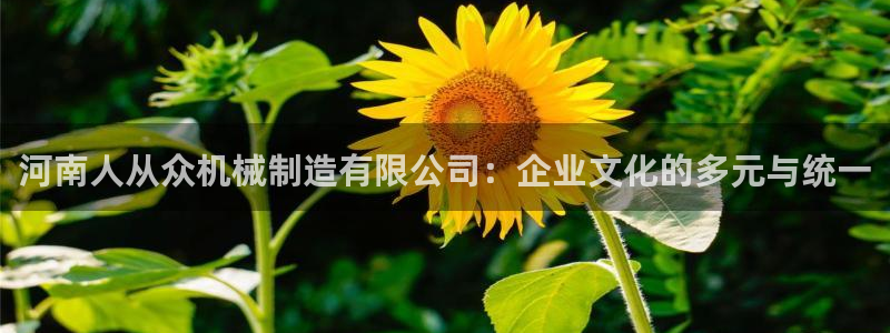 摩根娱乐开户总s管50015 15