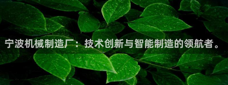 摩根国际 亚太 娱乐宝