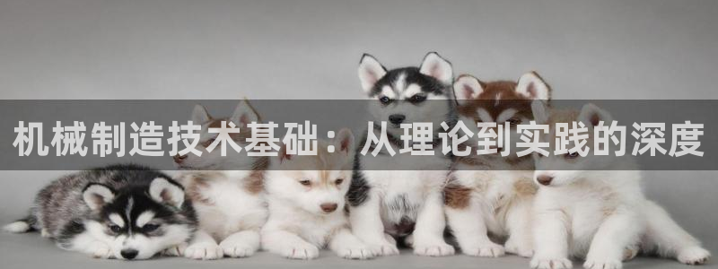 摩根娱乐dj