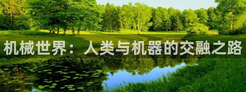 漳州摩根会娱乐