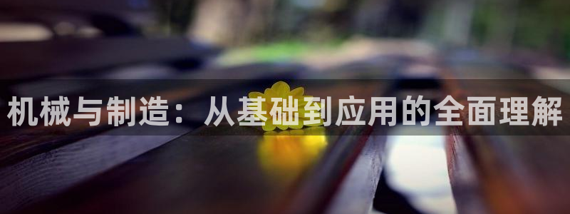 华视娱乐 摩根 王琛