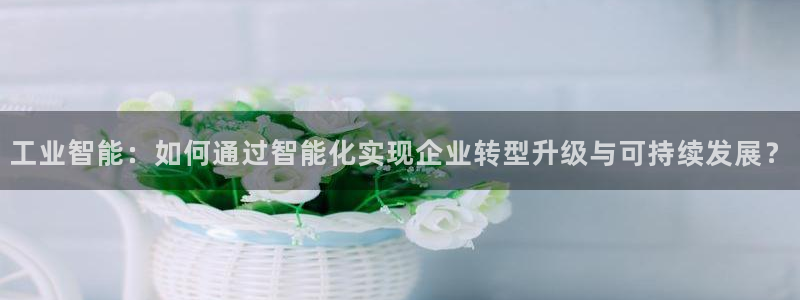 摩根娱乐宝代理