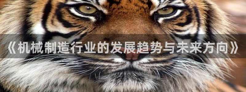 摩根娱乐L老L板50820