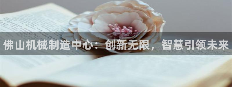 摩根娱乐主管