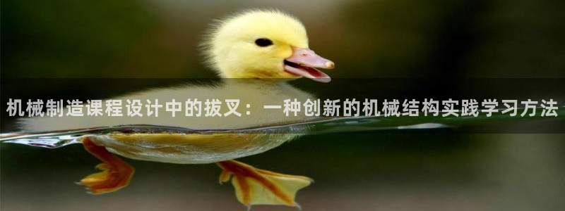 摩根国际亚太娱乐宝