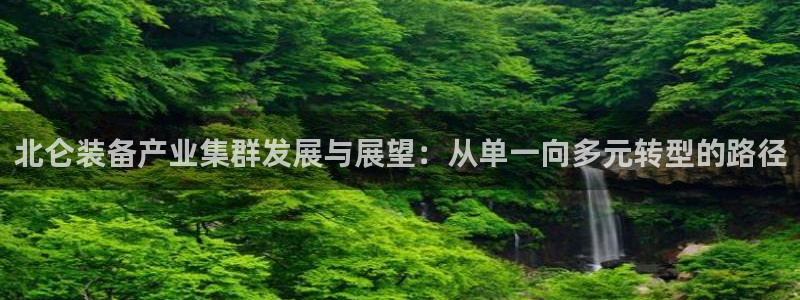 华视娱乐 摩根 王琛