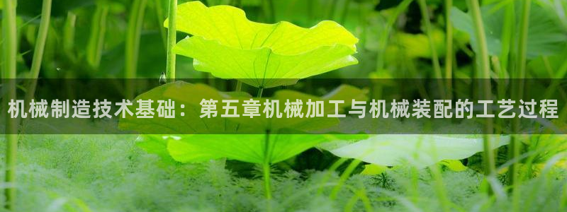 南阳市摩根娱乐