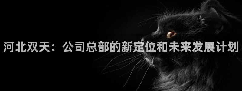 柬埔寨西港摩根娱乐