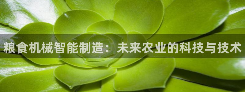 摩根娱乐宝口碑