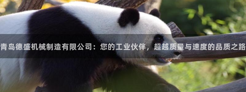 义乌摩根娱乐会所图片