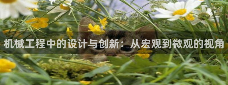 义乌市摩根娱乐会所招聘