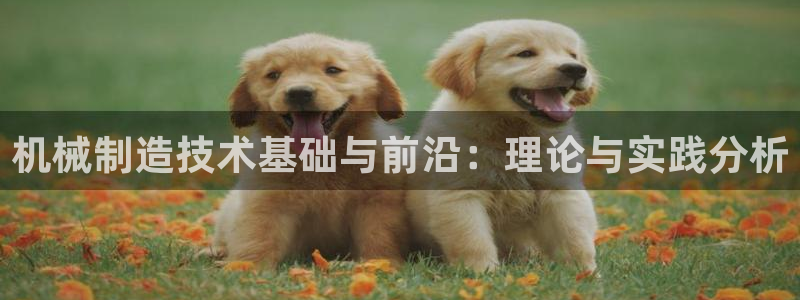 摩根娱乐这个平台怎么样