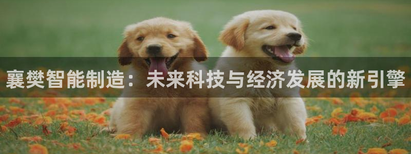 义乌摩根娱乐