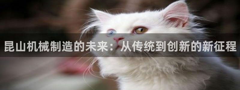 摩根娱乐挂机项目怎么样