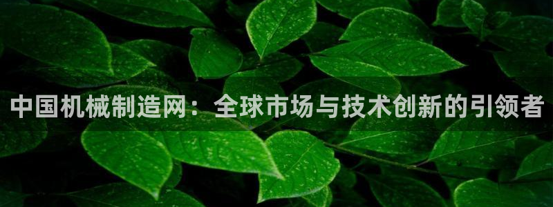 摩根国际娱乐宝书籍