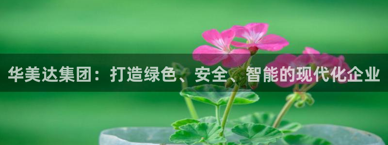 摩根餐饮娱乐