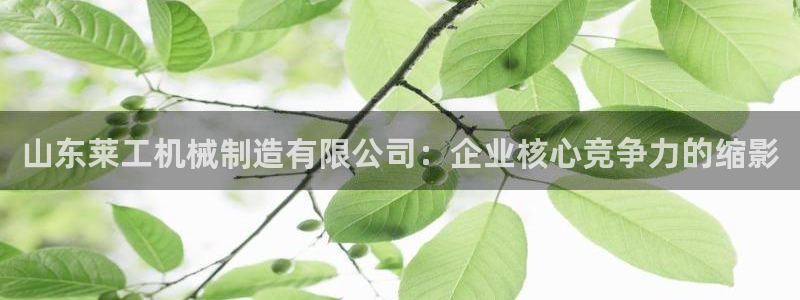 摩根娱乐垫付任务靠谱吗