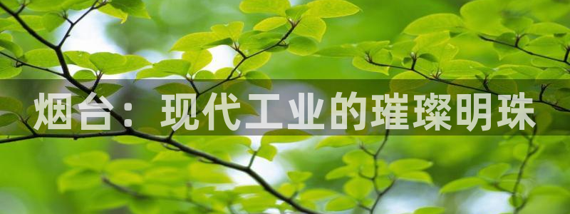 摩根娱乐询问市场总监86738k
