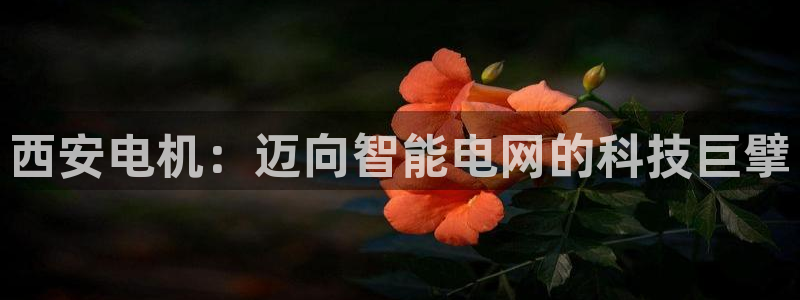 摩根娱乐宝进不去