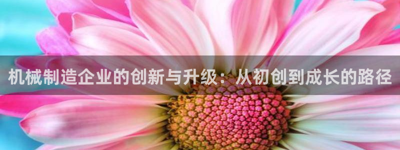 摩根娱乐50186加