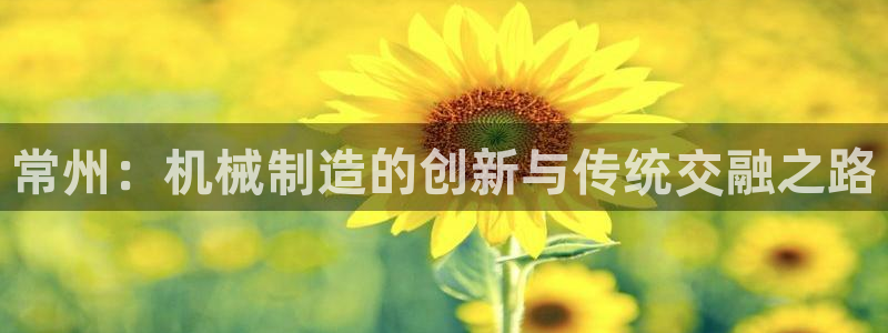 海贼王之娱乐摩根斯