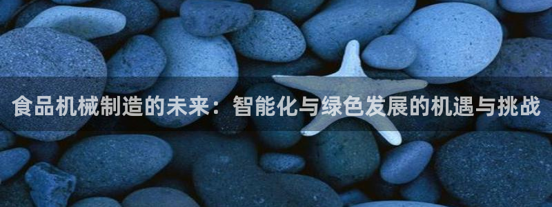 摩根国际亚太娱乐宝