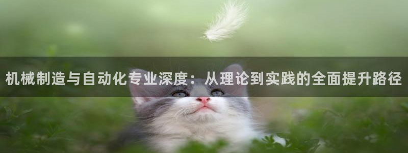白宫摩根娱乐会所