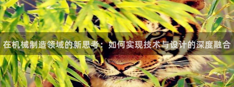白宫摩根会娱乐有限公司