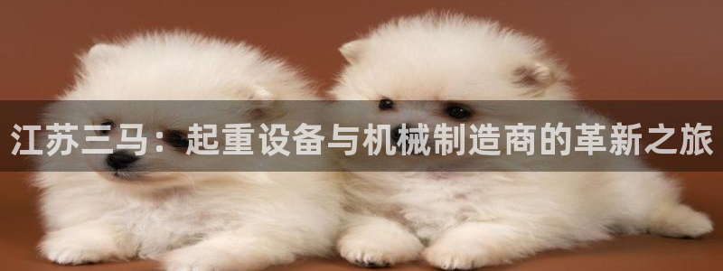 主角是摩根家族的娱乐文